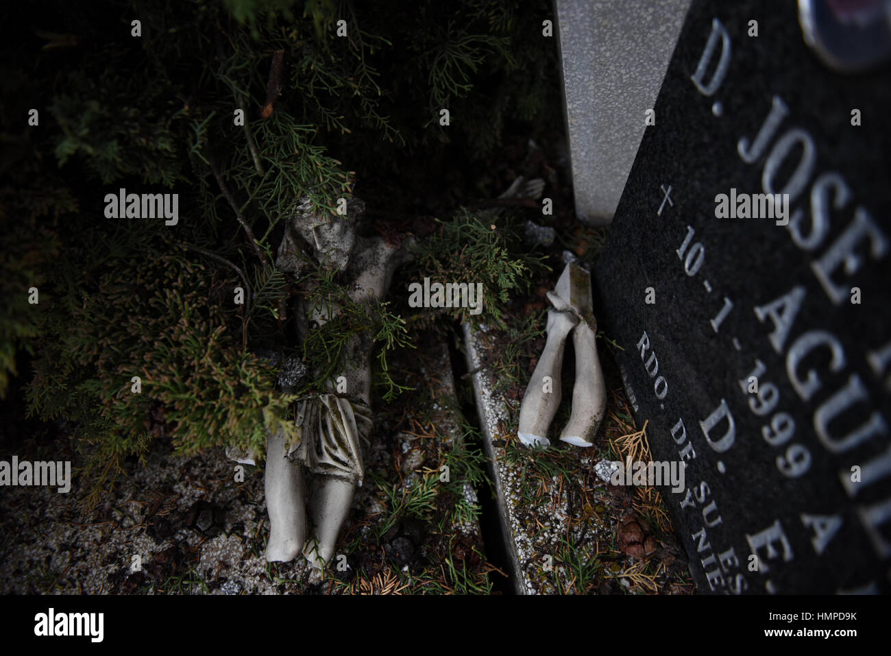 Baños de Río Tobía, Spagna. 04 feb 2017. Una lapide danneggiata da un albero nel cimitero di Baños de Río Tobía, nel nord della Spagna. Credito: Jorge Sanz/Pacific Press/Alamy Live News Foto Stock