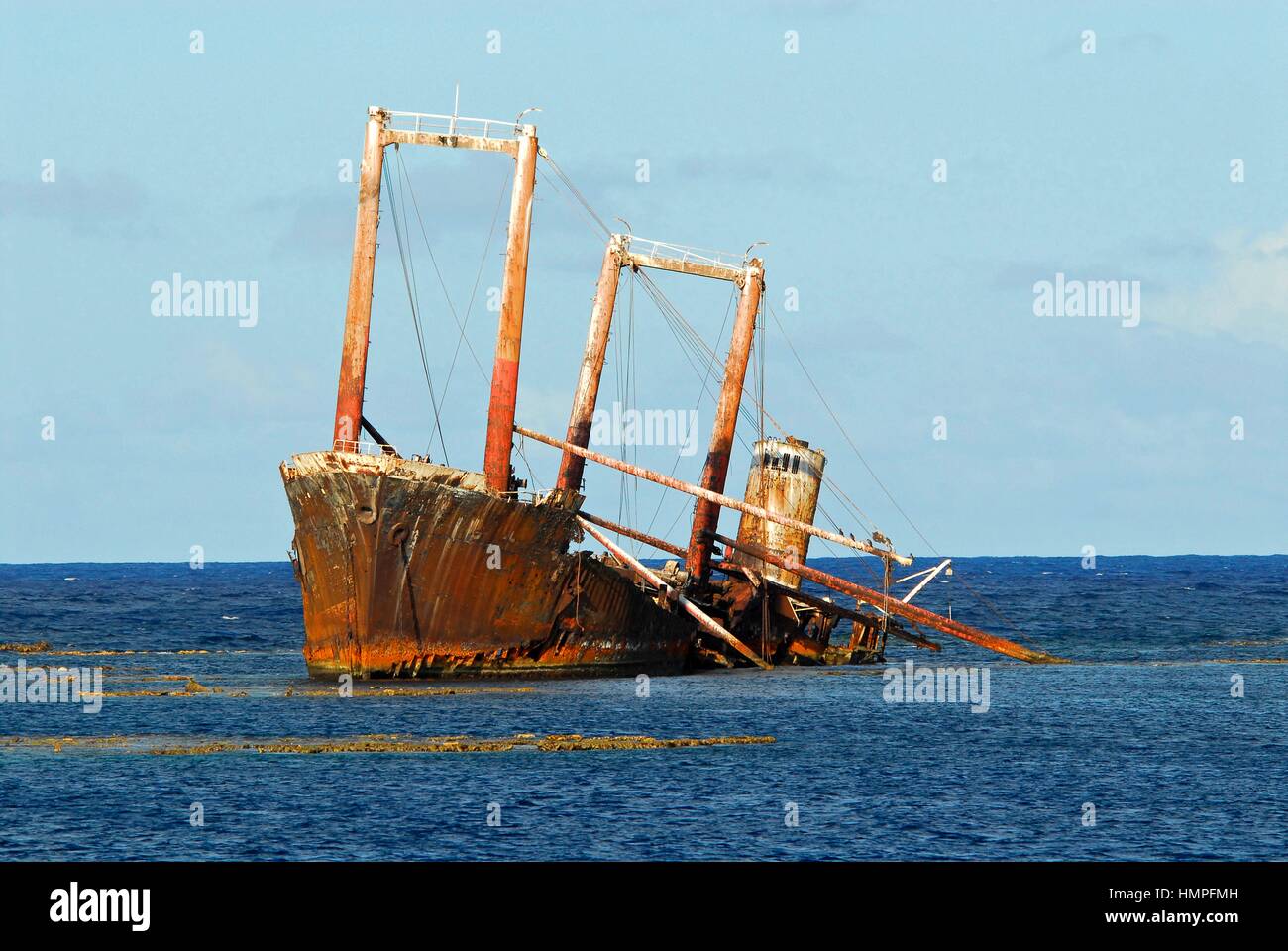 Polisini relitto greco (Kinsei Maru), Argento banche Marine Sanctuary, Repubblica Dominicana, Mar dei Caraibi Foto Stock