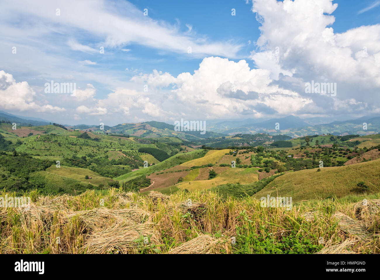 Lo splendido paesaggio di terreni agricoli di riso in foothill nel nord della Thailandia Foto Stock