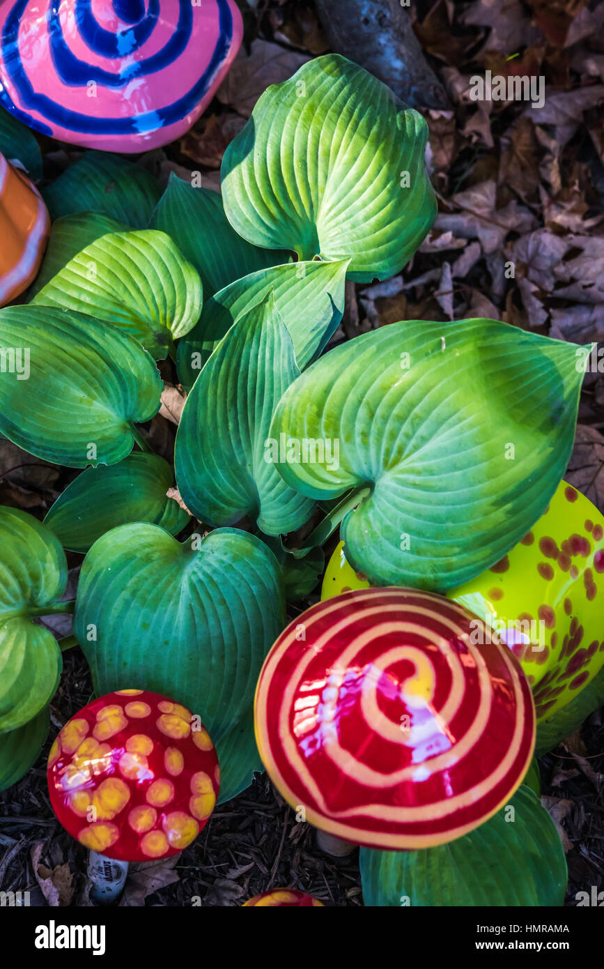 Di Halloween e della stagione autunnale attività. Foto Stock