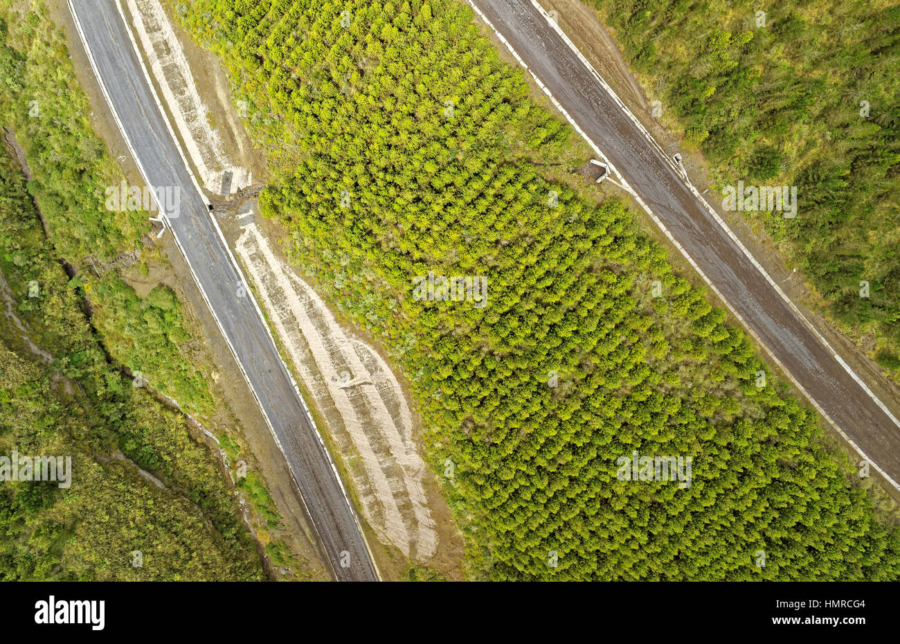 Segmenti di strada sterrata attraverso i piani del Parco Nazionale di Cotopaxi in Ecuador immagini aeree Foto Stock
