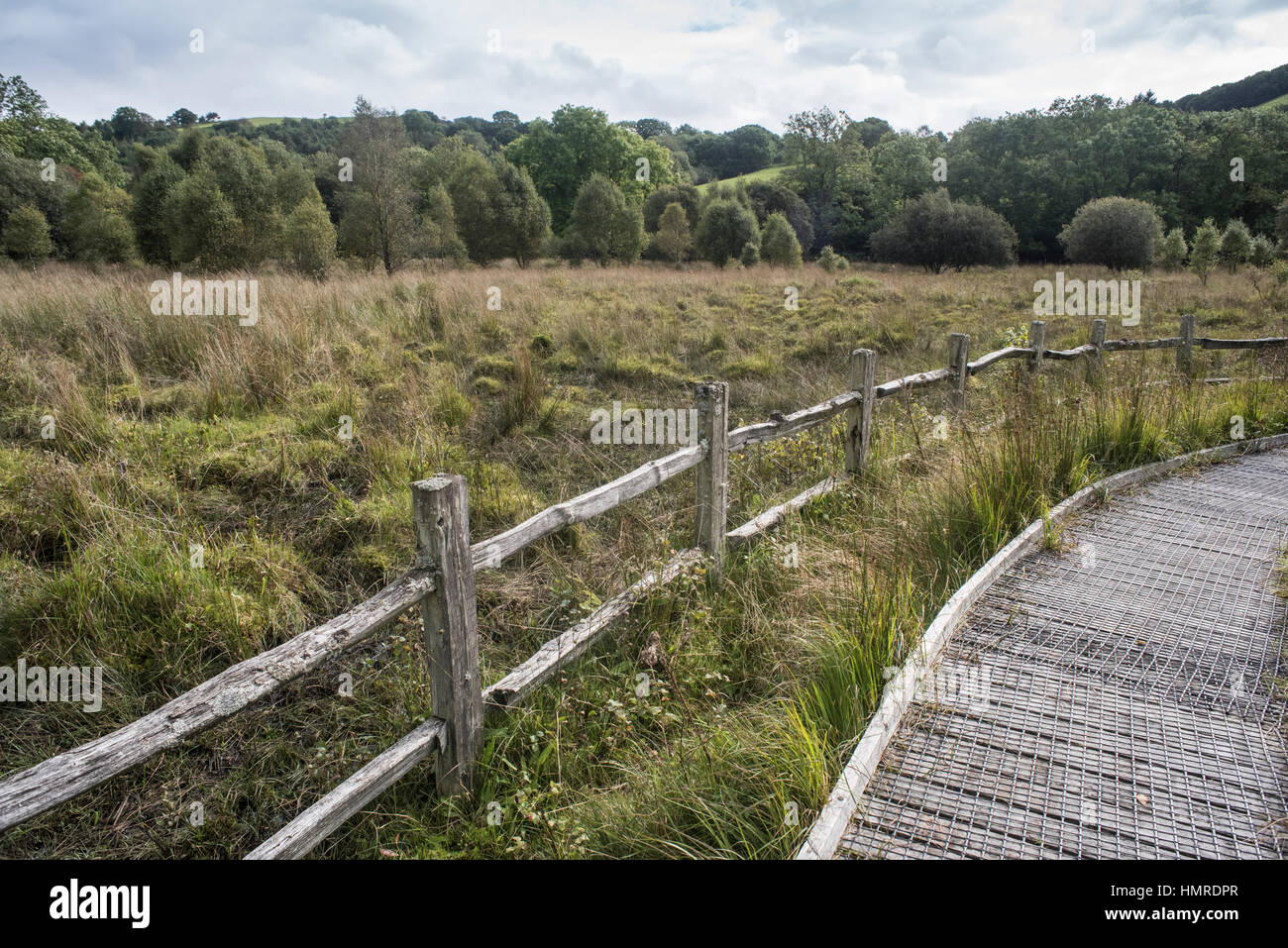 Il Boardwalk e il paesaggio a autovetture Caron Riserva Naturale Nazionale, Tregaron, Galles Foto Stock