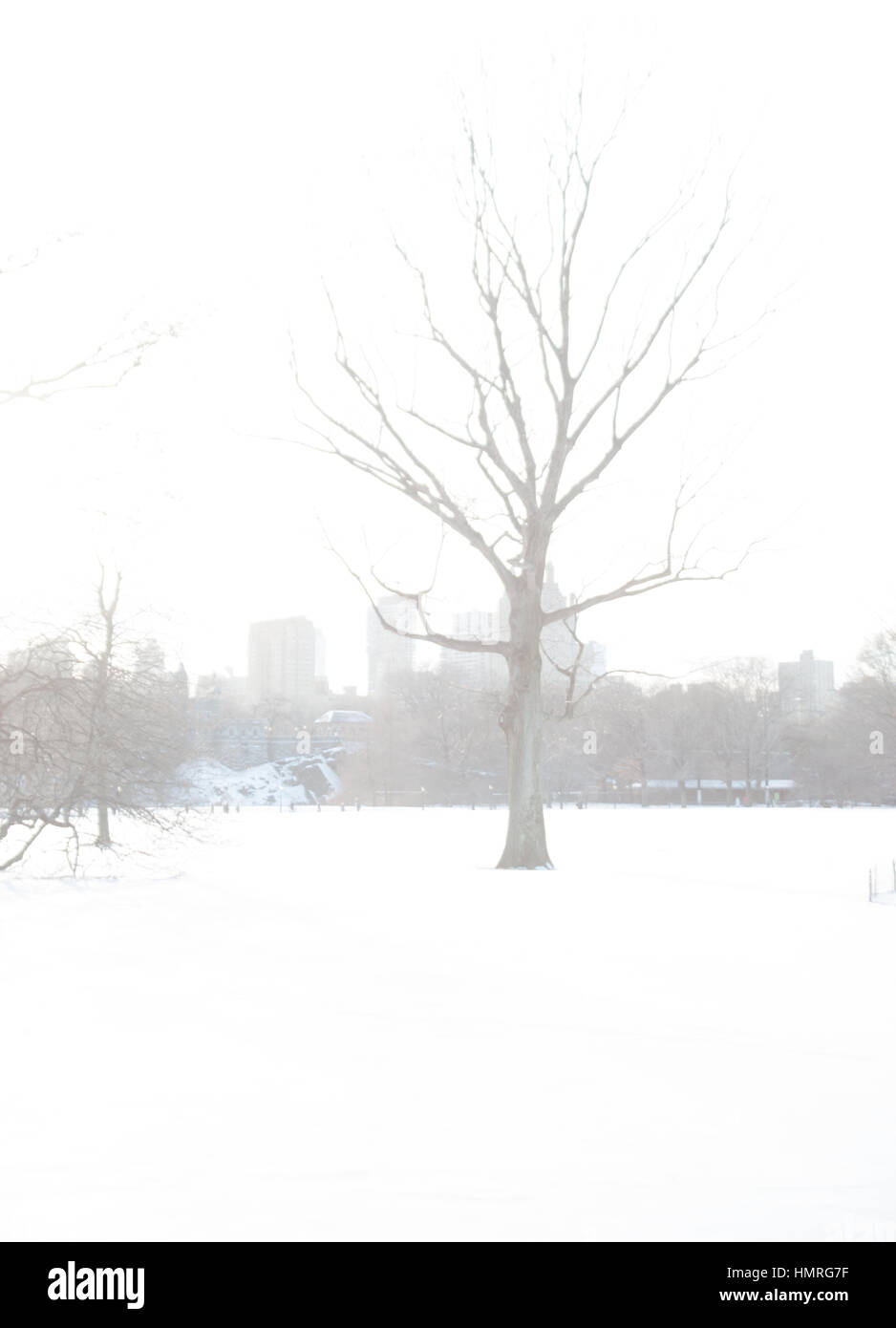 Bianco inverno nella città di New York Foto Stock