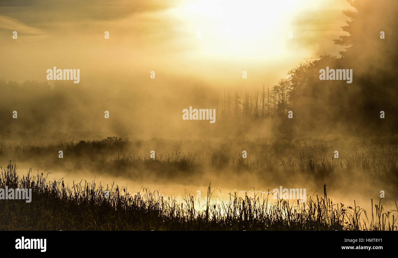 Luminose e ad alto contrasto alba estiva sul passaggio stretto di un lago. Acqua calda & aria dello scambiatore di calore allo spuntar del giorno. Back lit bright densa nebbia si alza. Foto Stock