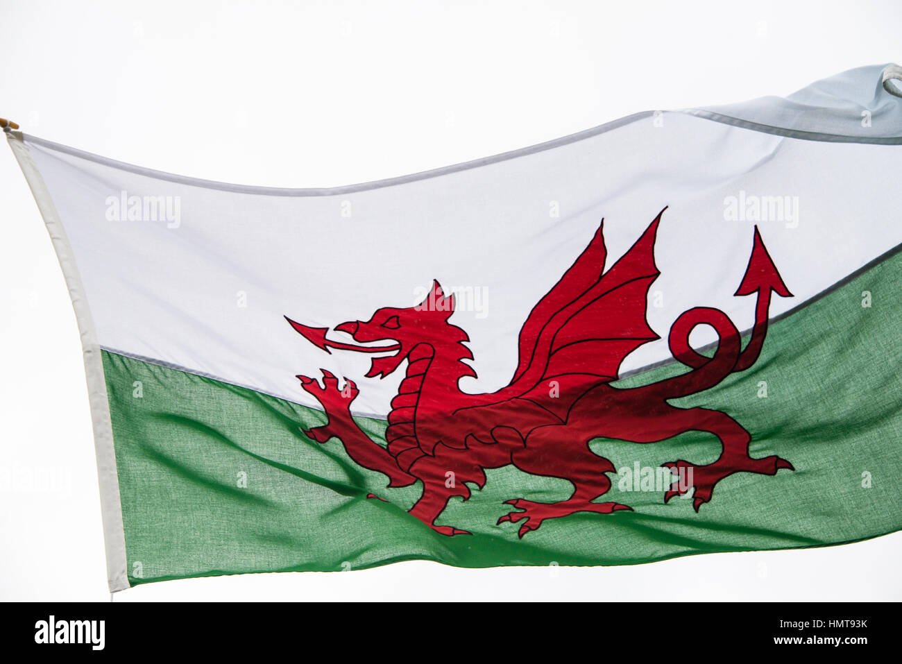 Adesivo Auto Bandiera Gallese CYMRU – Vinile Impermeabile 10x6,1 Cm, Con 2 Mini Adesivi Omaggio