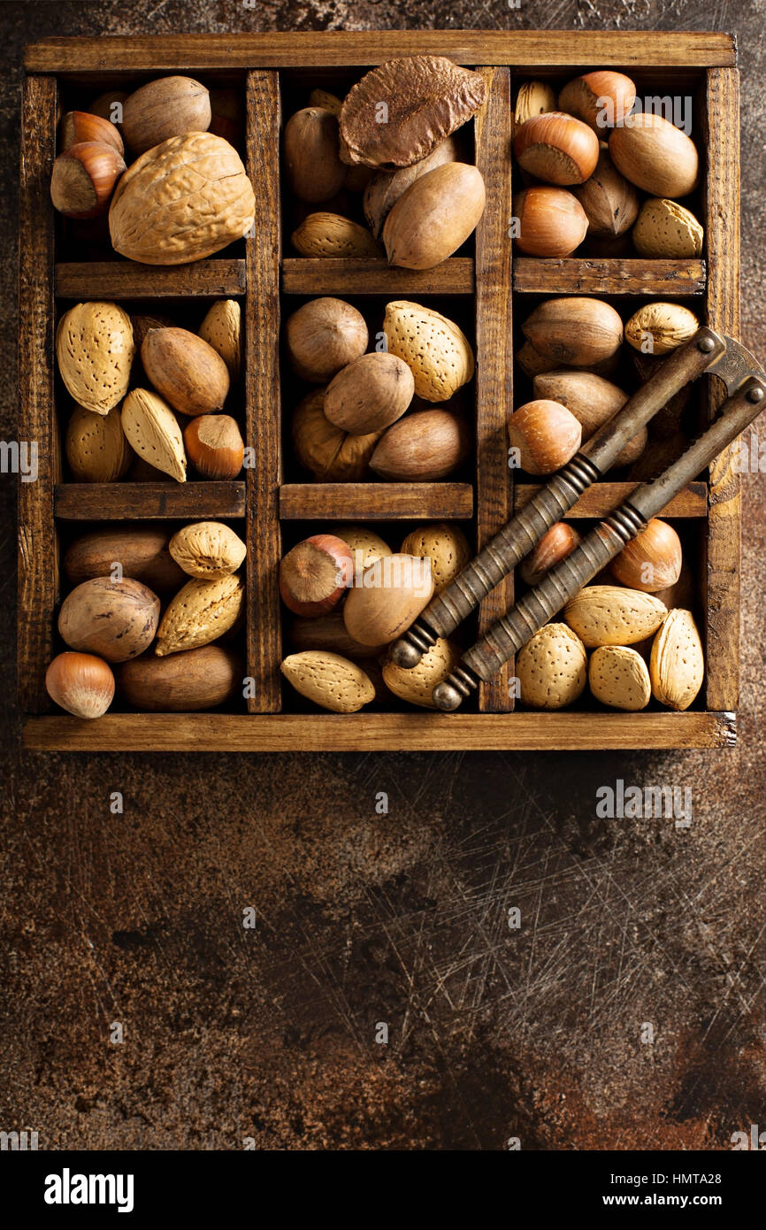 Vari dadi nel guscio in una scatola di legno Foto Stock