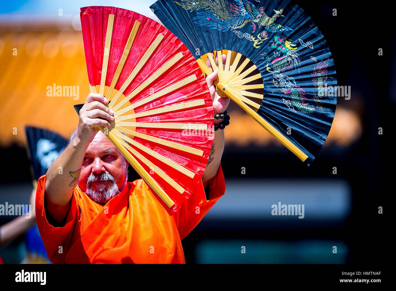 Sao Paulo, Brasile. 5 febbraio, 2017. Brasiliani celebrano il nuovo anno del calendario cinese con il Drago e il Leone danza. Le celebrazioni sono anche presenti di arti marziali e tai chi chuan spettacoli al Zu Lai tempio in Sao Paulo. Credito: Dario Oliveira/ZUMA filo/Alamy Live News Foto Stock