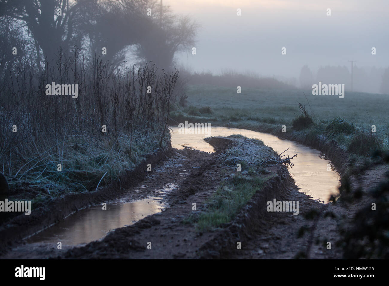 Galles del Sud svegliati con un gelido mattino, oggi 6 febbraio 2017, come una banda di bassa coperto nebbia il paesaggio vicino a St Mellons, Cardiff. Temperature si situava attorno a 1 gradi centigradi. Foto Stock