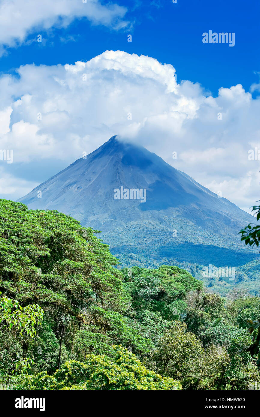 Il Vulcano Arenal dietro la foresta tropicale, la fortuna, Costa Rica Foto Stock
