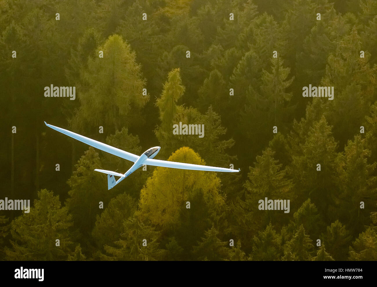 Aliante biposto,, Duo Discus D-5443 su autunno foresta, vicino Arnsberg, distretto della Ruhr, Nord Reno-Westfalia, Germania Foto Stock
