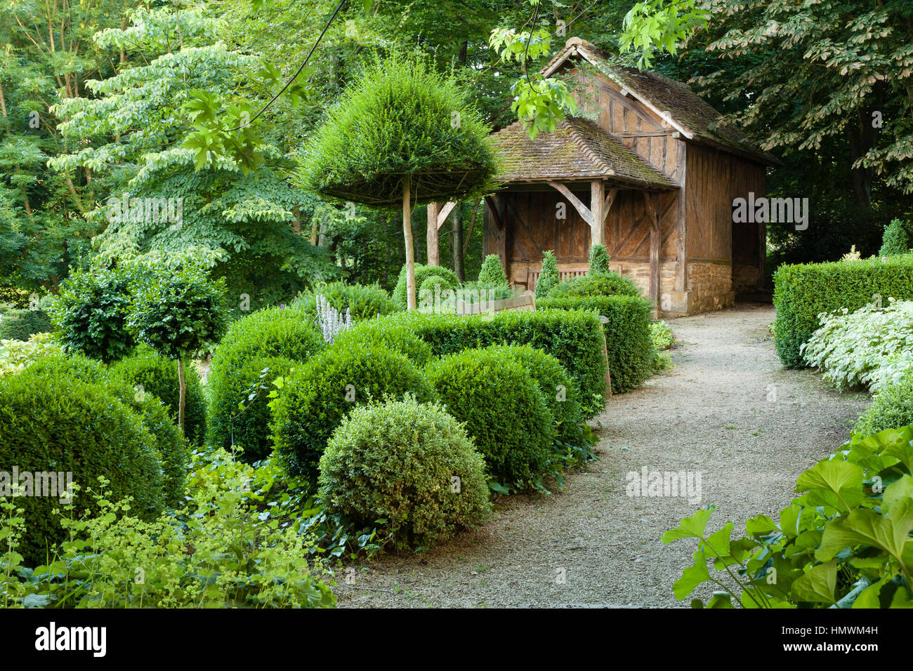 Topiaries nei Jardins du pays d'Auge, Normandia, Francia Foto Stock