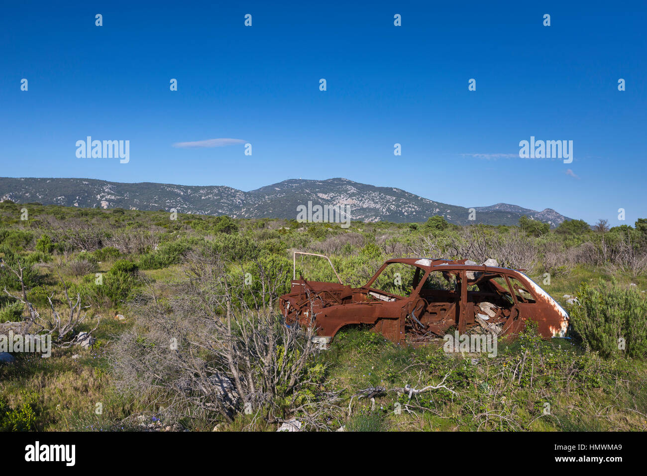 Vista del paesaggio di bruciato auto tra i brughiera vegetazione, Feuilla altopiano, Aude, Francia nel giugno 2016. Foto Stock