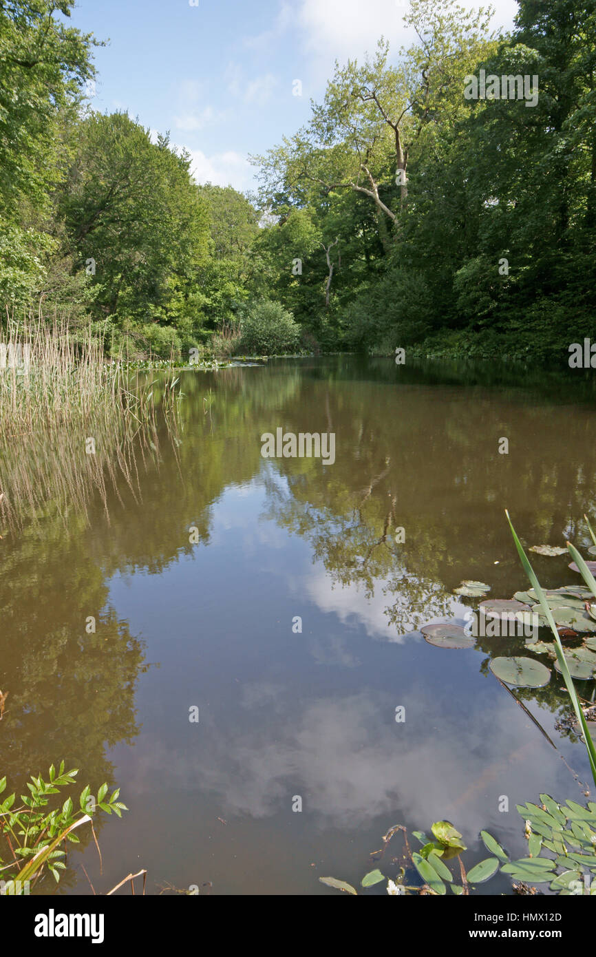 Il Lost Gardens of Heligan Foto Stock