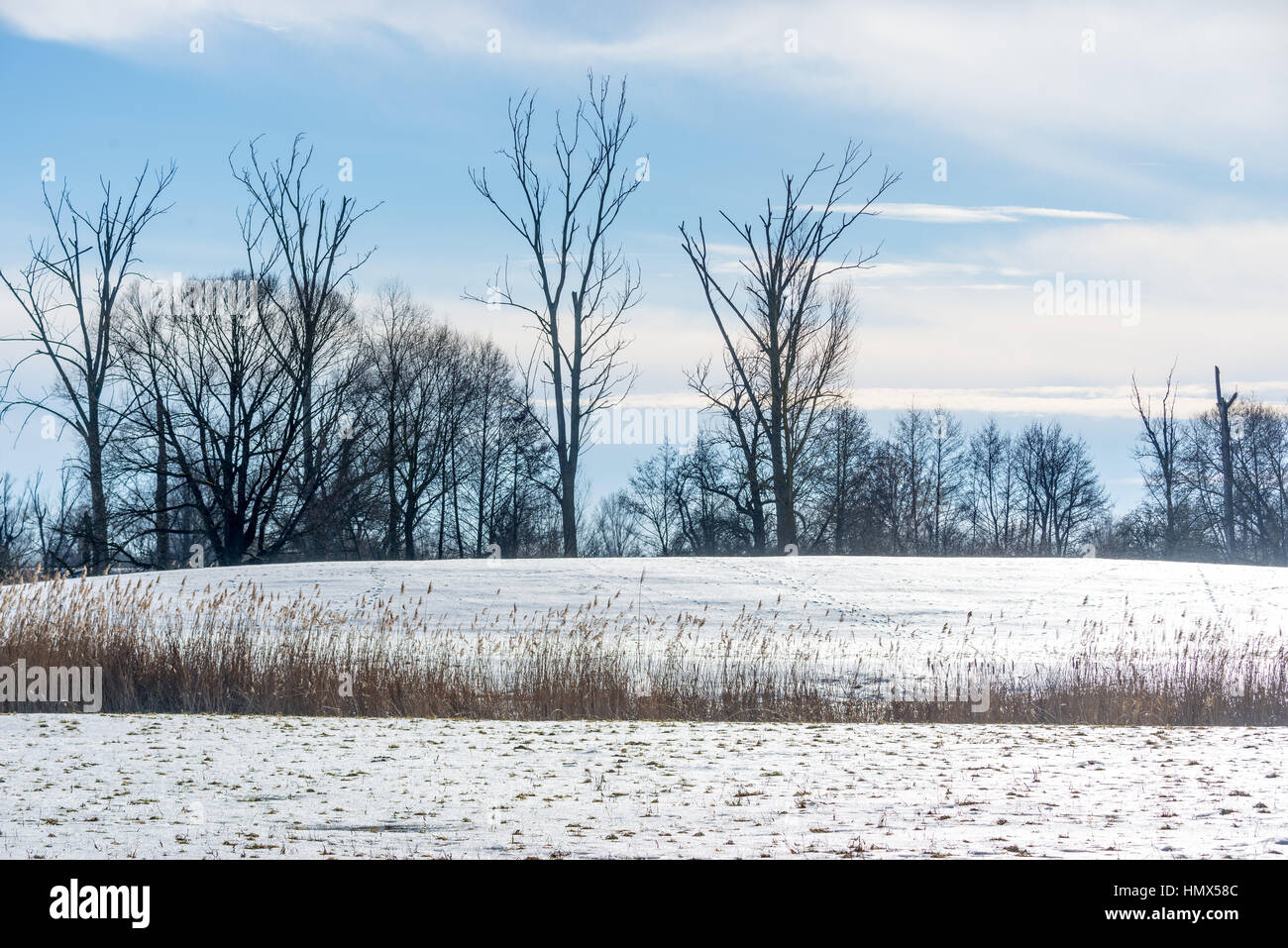 Inverno fiume Daube Baviera scena germania congelato Foto Stock