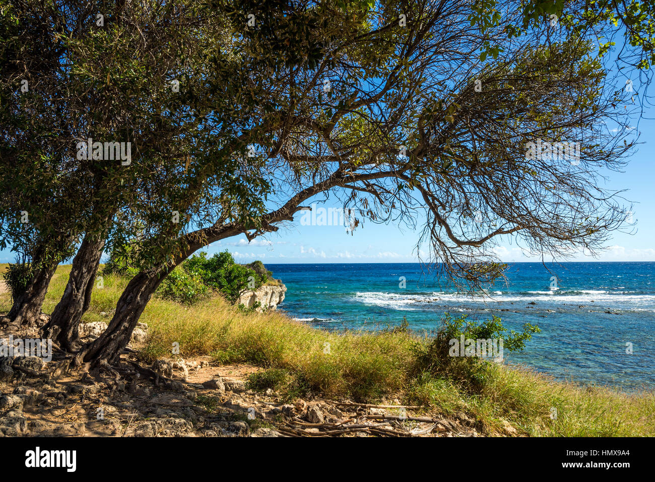 Cuba Caribbean mare costa spiagge spiagge spiagge luminose vacanze soleggiate Foto Stock