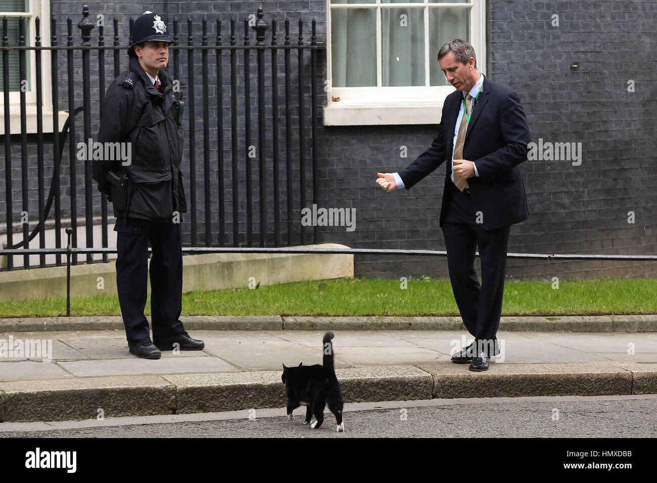 Londra, Regno Unito. 6 febbraio, 2017. Ufficio estero cat Palmerston a Downing Street. Credito: Dinendra Haria/Alamy Live News Foto Stock