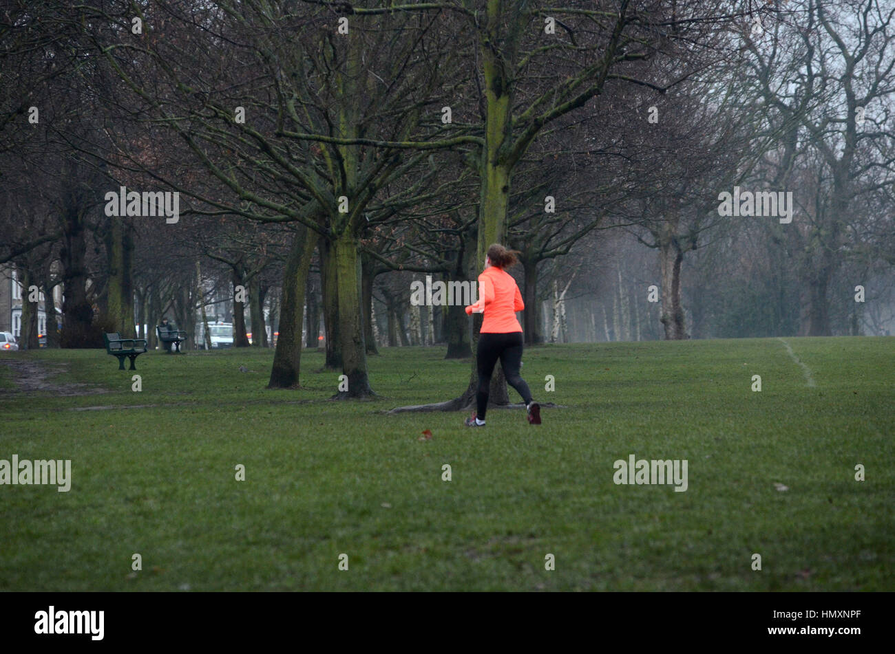 Londra, Regno Unito. 07 feb 2017. Foschia mattutina a Wandsworth comune. Credito: JOHNNY ARMSTEAD/Alamy Live News Foto Stock