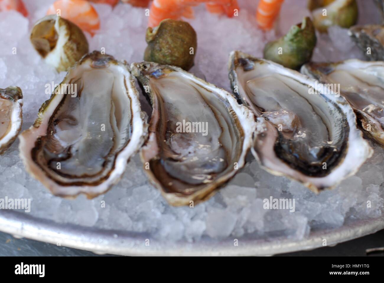 Oyster, Parigi, Francia Foto Stock