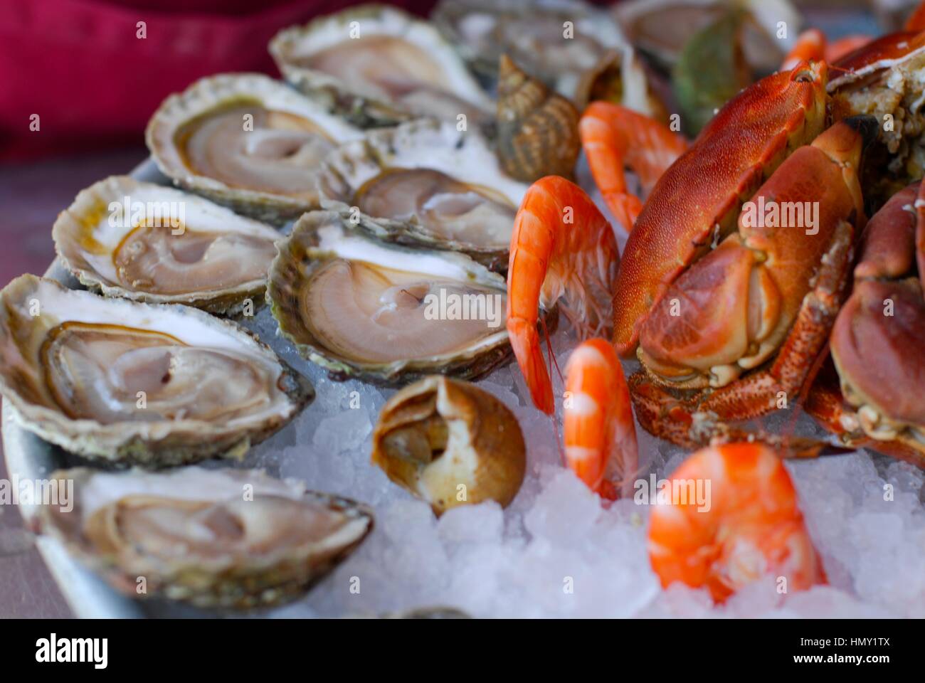 Oyster, Parigi, Francia Foto Stock