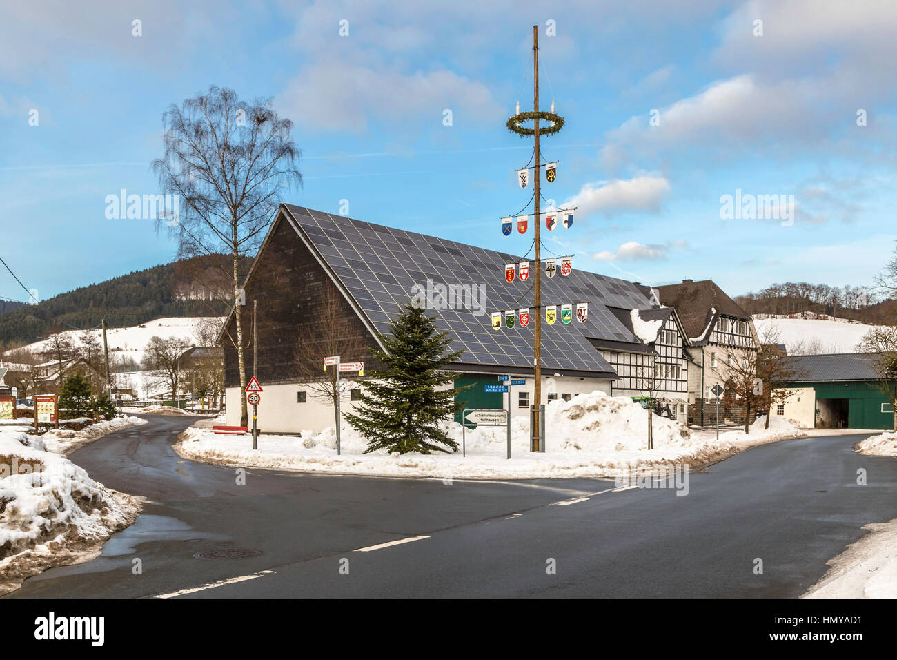 "Zunftbaum' pole che mostra la gilda segni di commercio tedesco gilde, Niedersorpe, Sauerland, Renania settentrionale-Vestfalia, Germania . Foto Stock