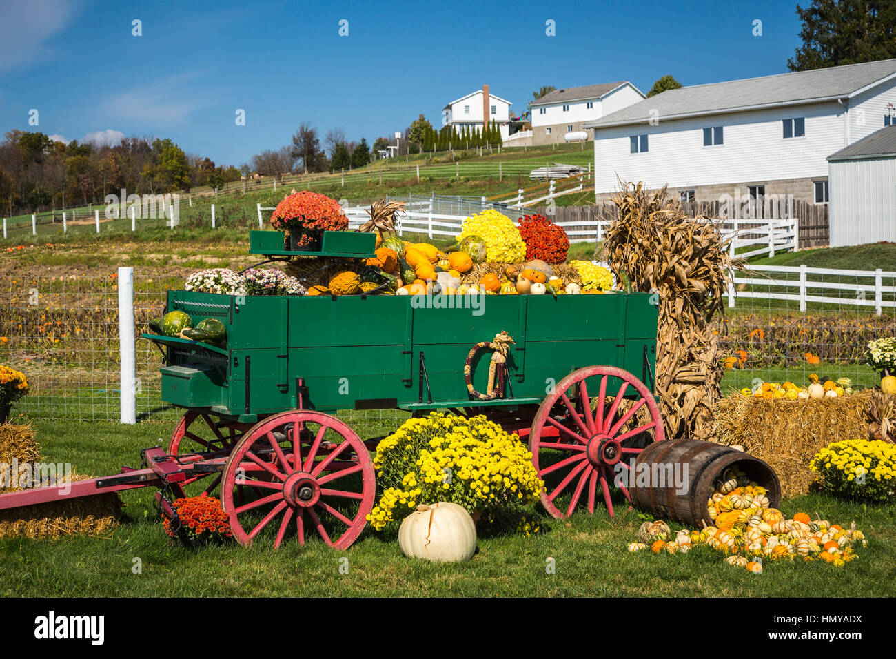 Una caduta dei prodotti agricoli display vicino a Berlino, Ohio, Stati Uniti d'America. Foto Stock