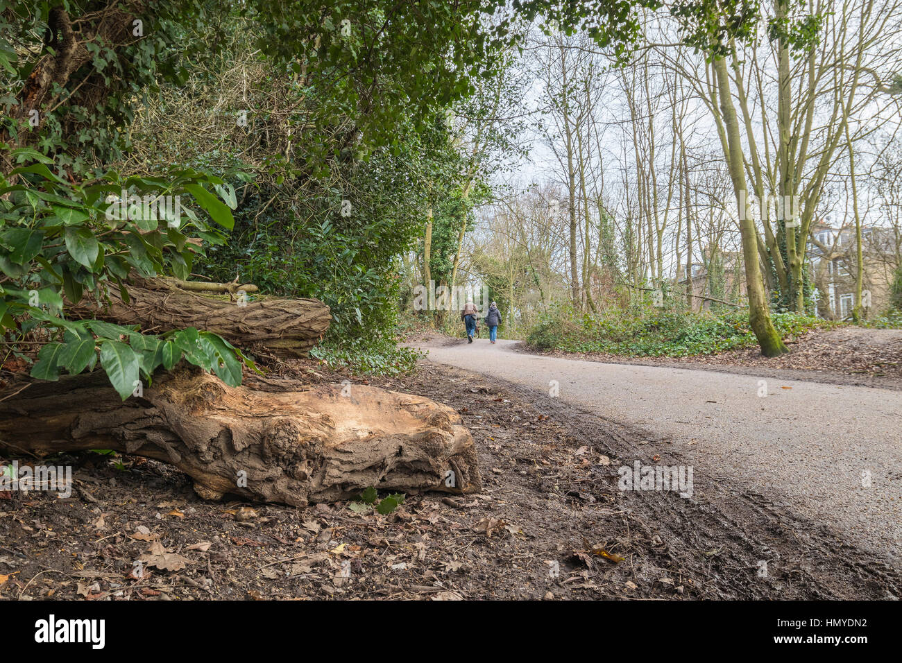Giovane a piedi il loro cane nel percorso in mezzo al bosco. Foto Stock
