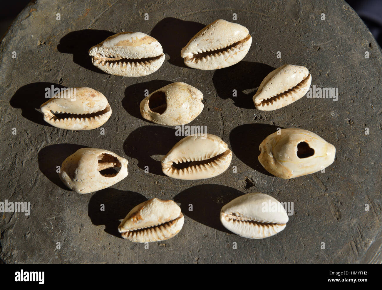 Denaro cinese cowry gusci. Dinastia Shang (17th-11secolo BC) Foto Stock