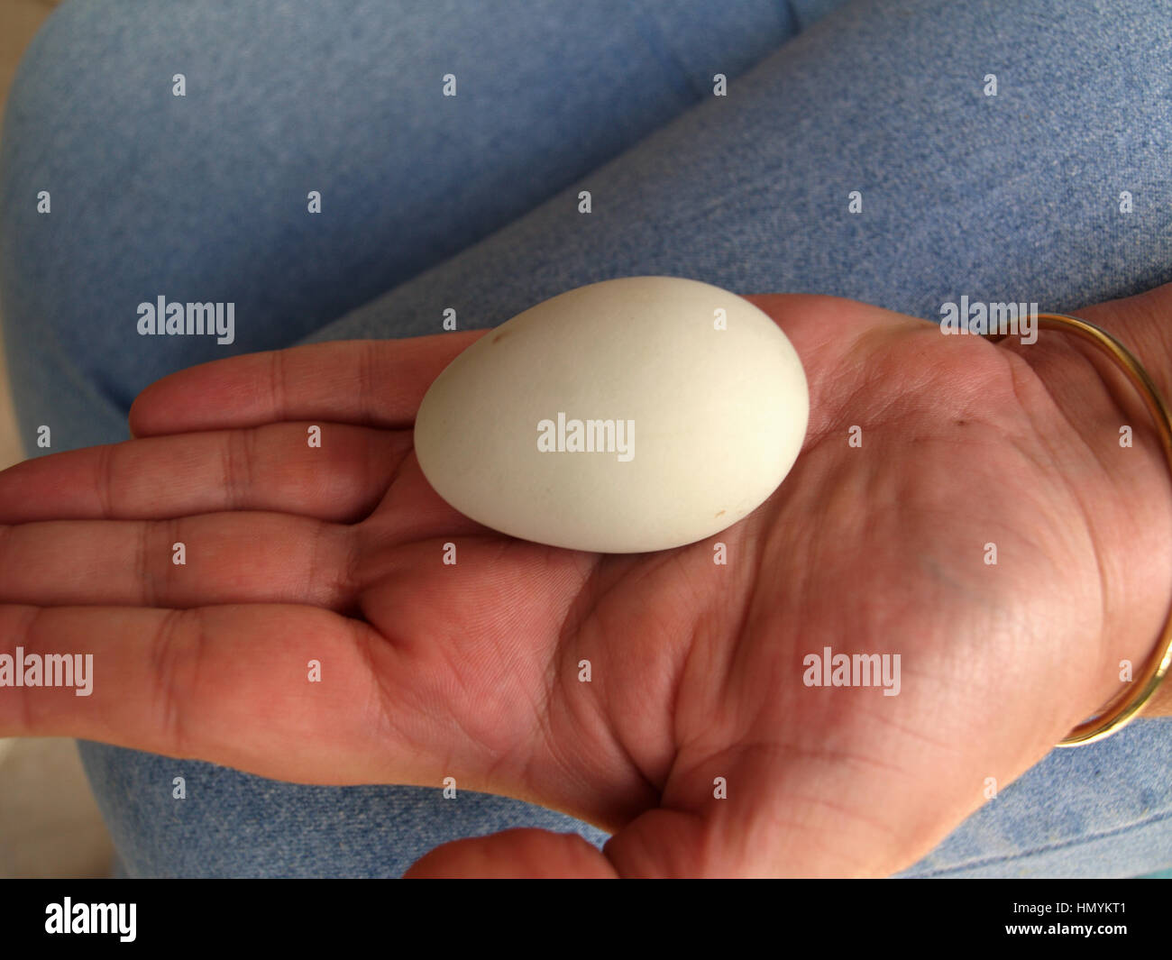 Free range egg tenuto nel palmo della mano Foto Stock