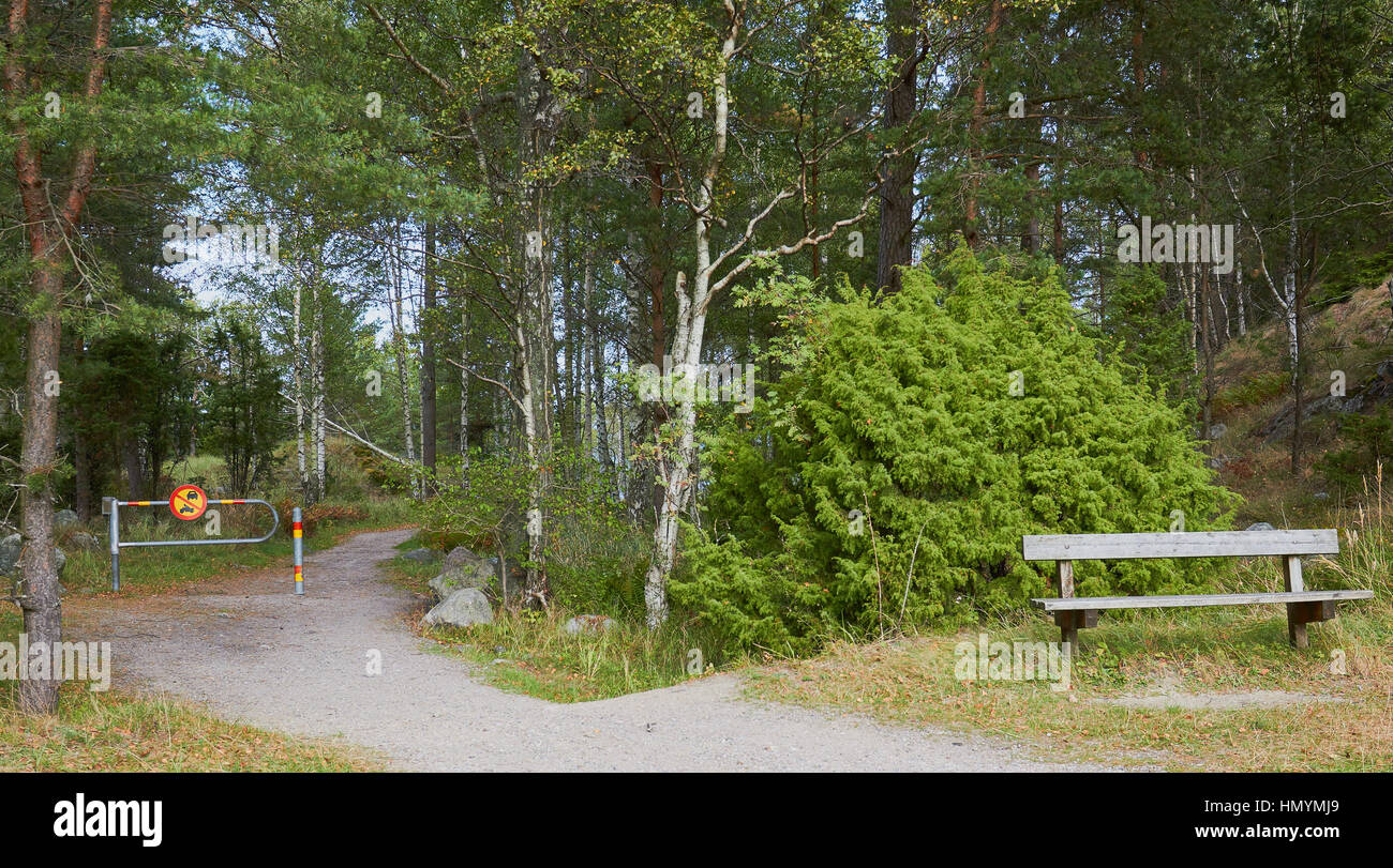 Nessun segno di veicoli e seduta in legno tra natura, Svezia e Scandinavia Foto Stock