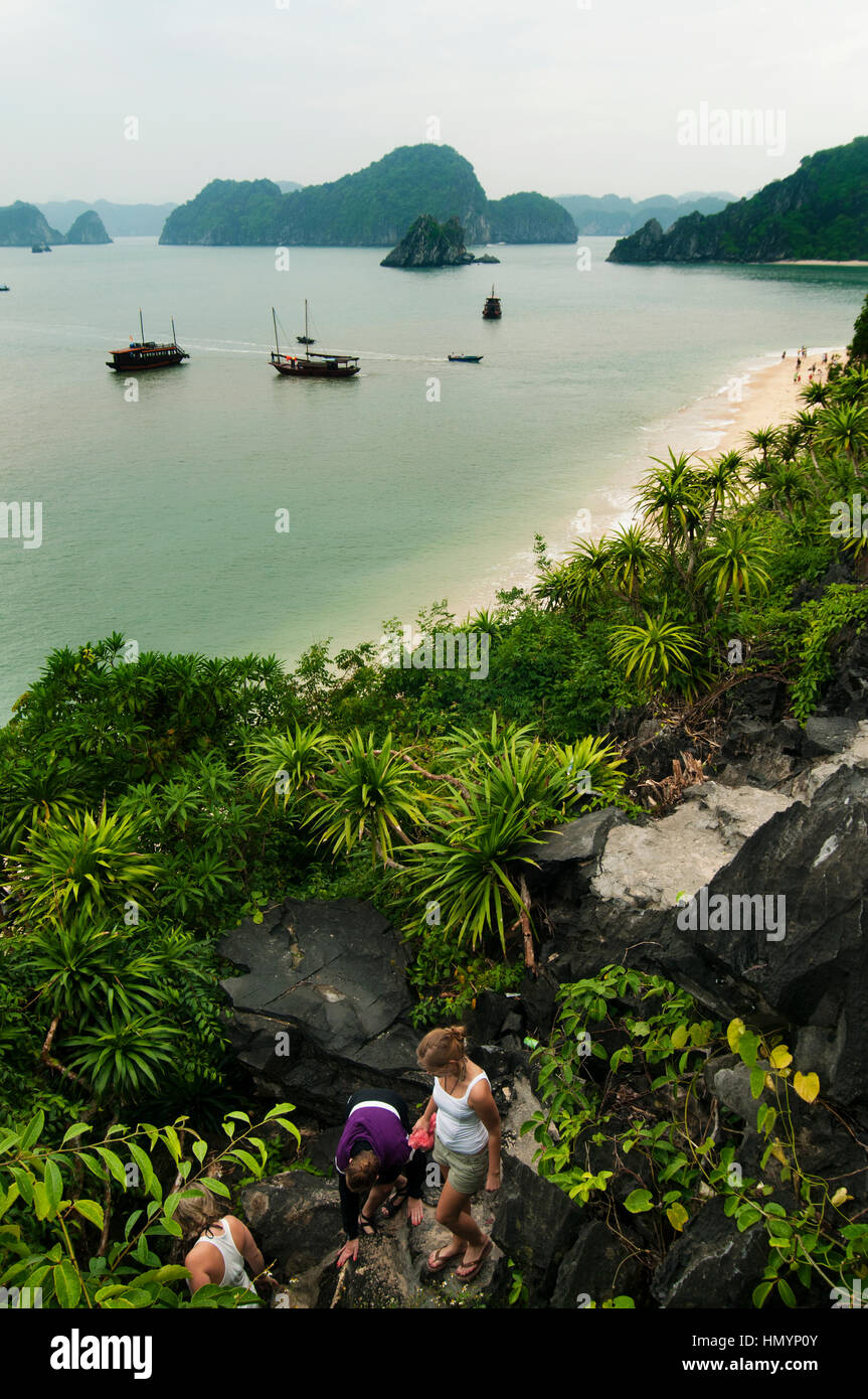 Il Vietnam. Halong Bay, Monkey Island Foto Stock