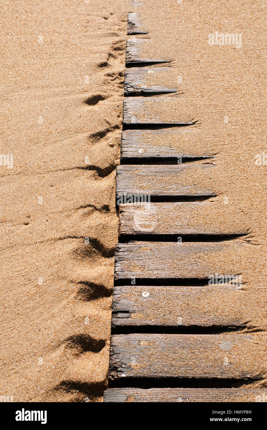 Spagna. Barcellona. Passeggiata sulla Spiaggia Foto Stock