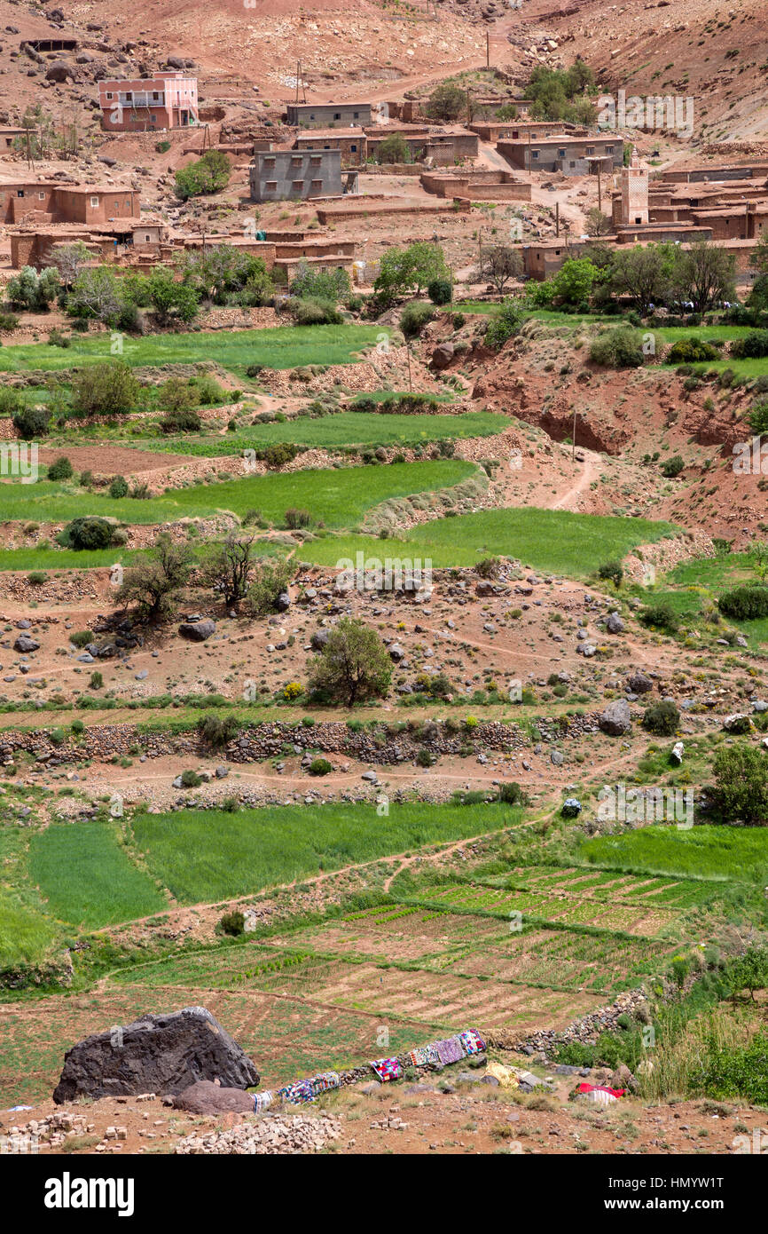 Atlante, nei pressi di Tizi N'Tichka Pass, Marocco. Villaggio e campi terrazzati, arido paesaggio. Foto Stock