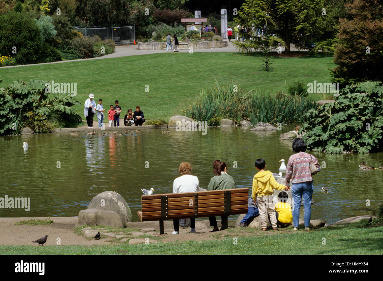 San Francisco, California. Famiglie a Strybing Arboretum stagno, Golden Gate Park. Foto Stock