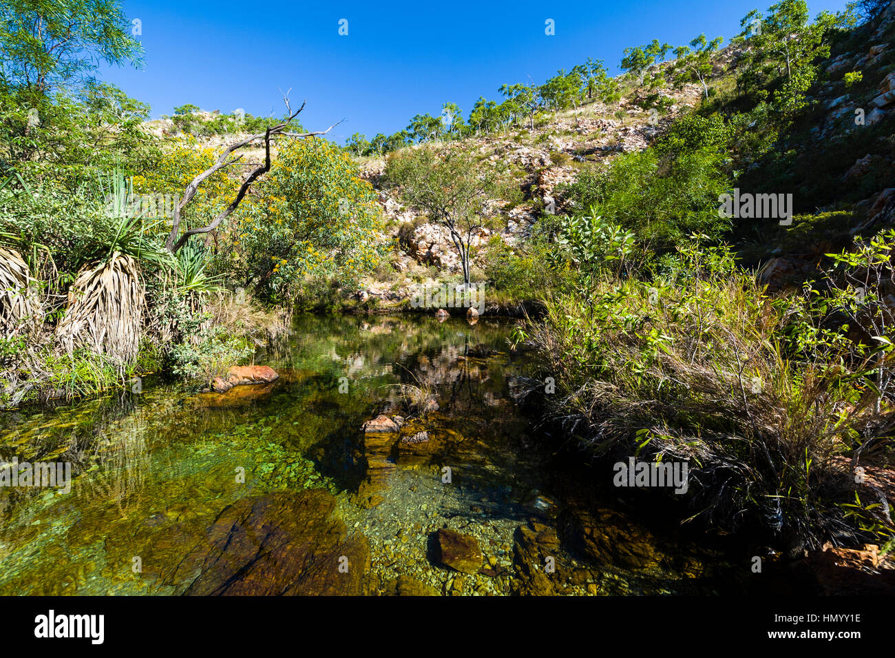 Un viale alberato di fiume di acqua dolce piscina su una scarpata del deserto. Foto Stock