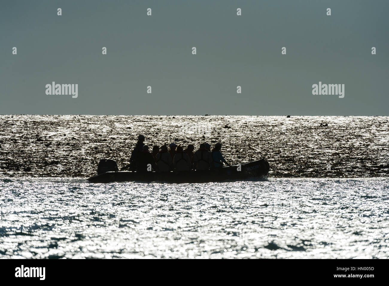 La silhouette di un gommone zodiac con i turisti ad esplorare un reef esposta con la bassa marea. Foto Stock