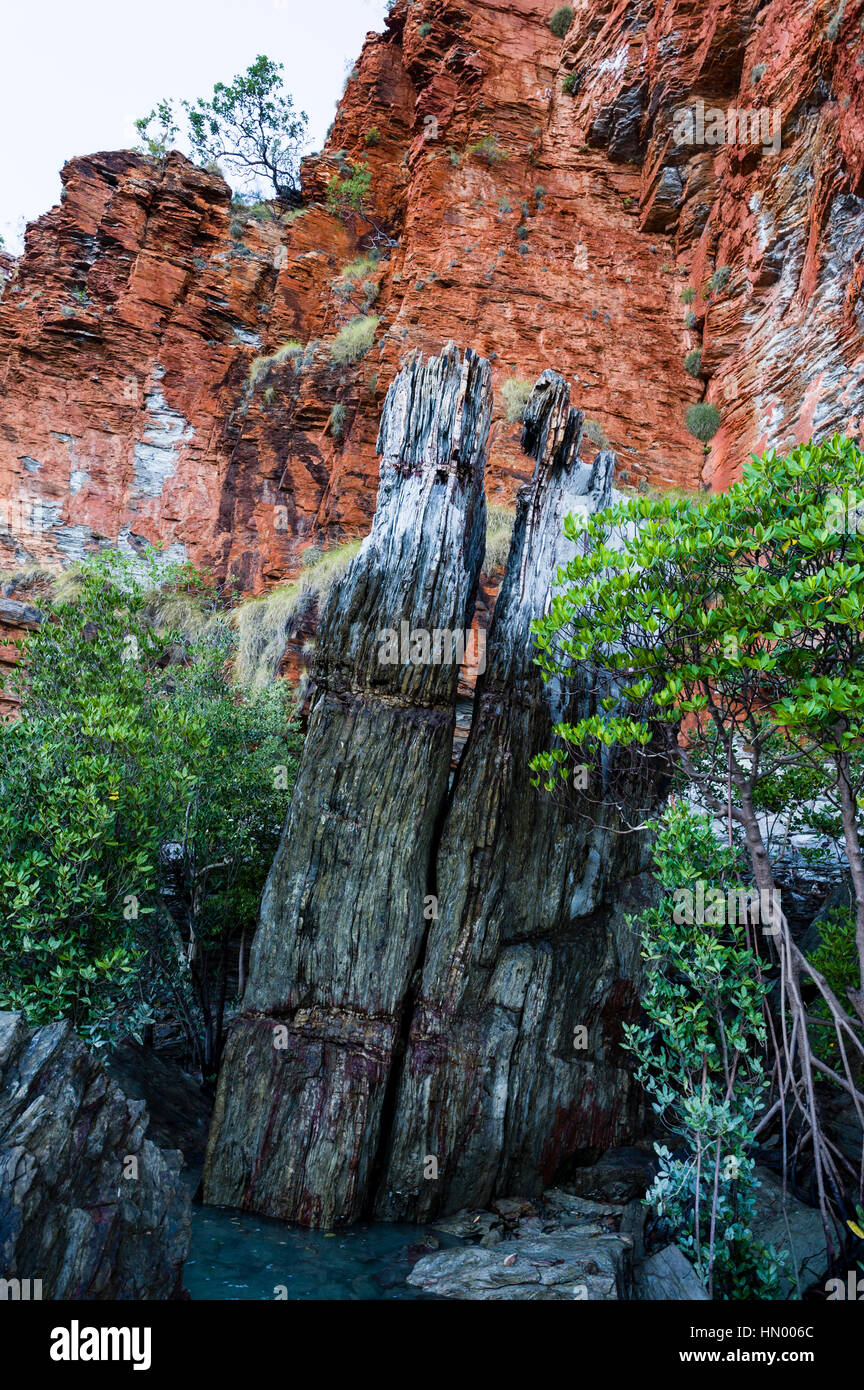 Un pilastro di roccia che si trova in piedi in una foresta di mangrovie da un isola deserta. Foto Stock