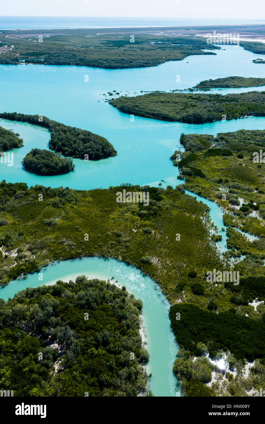 Un turchese fiume di marea l'avvolgimento il modo attraverso le mangrovie in un estuario di marea. Foto Stock