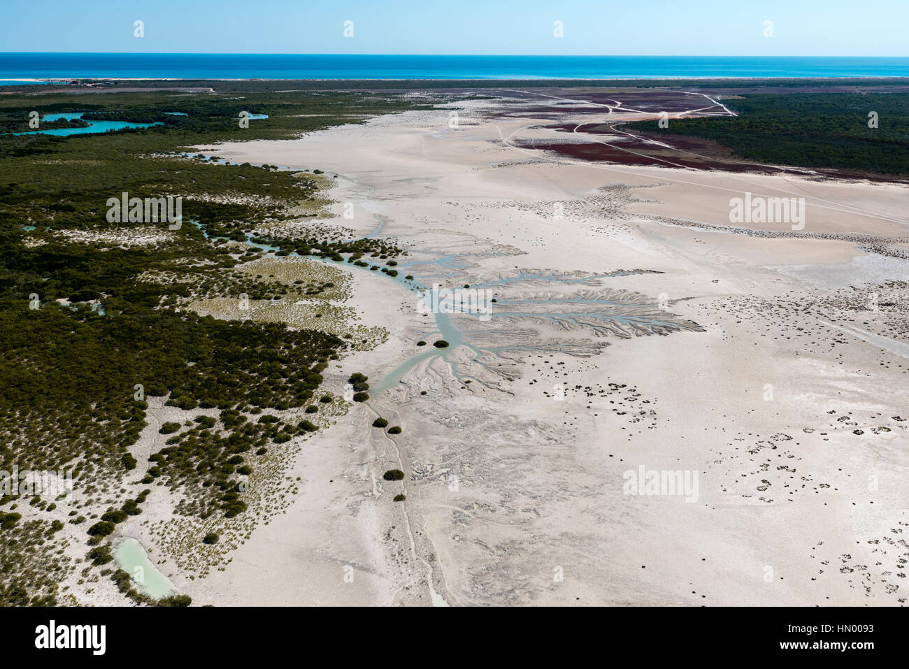 Drenaggio dendritico patterns in sabbia di una palude di marea a bassa marea. Foto Stock