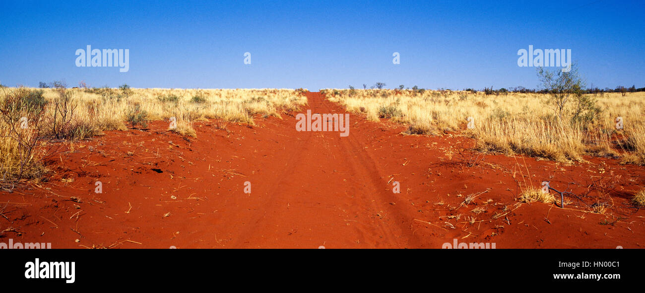 Una sabbia rossa via passando attraverso spinifex paese nel deserto. Foto Stock