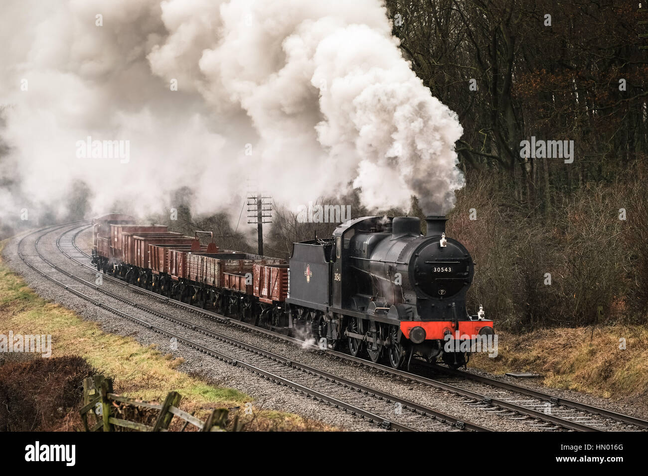 Sud della classe Q 0-6-0 n. 30543 avvicinando Kinchley Lane e Swithland viadotto sulla Grande Stazione Centrale, Febbraio 2017 Foto Stock