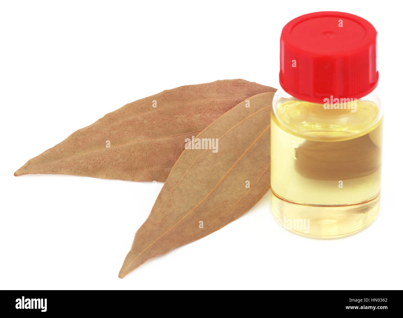 Foglie di alloro con olio essenziale su sfondo bianco Foto Stock