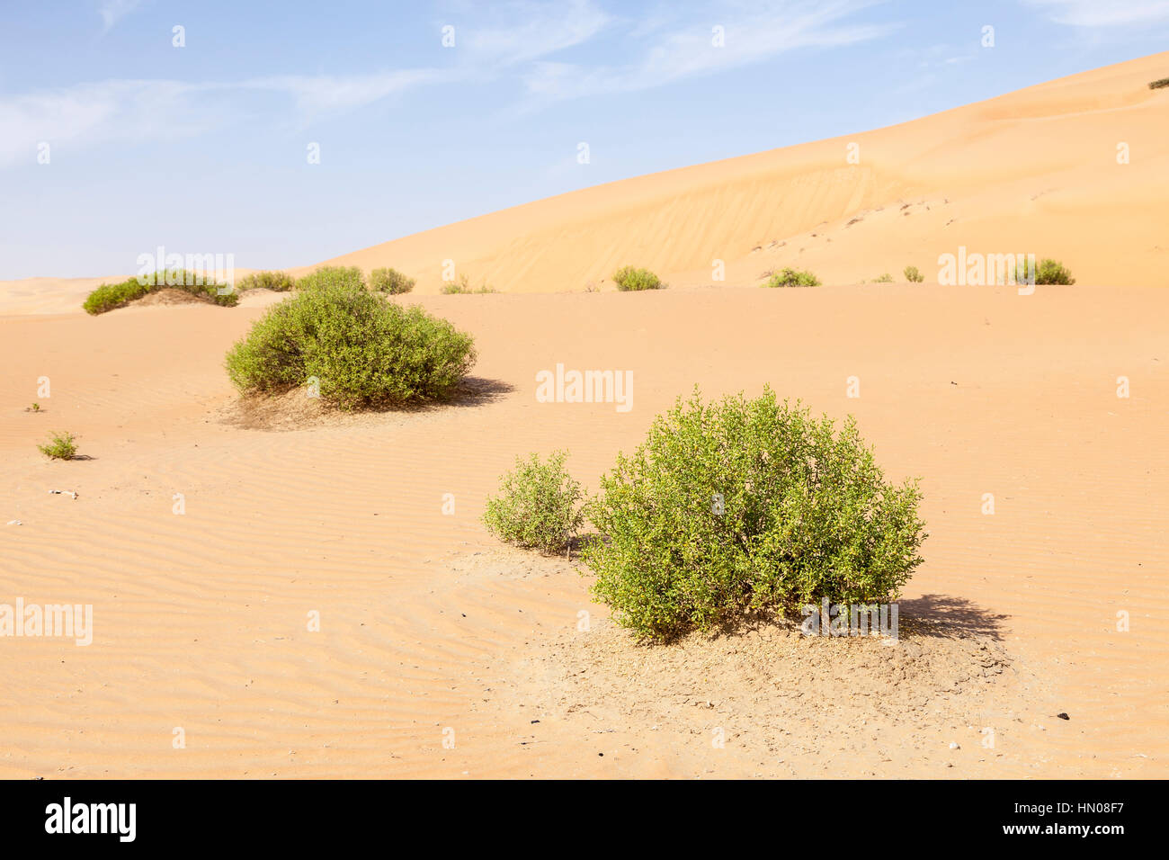 Bellissime dune di sabbia formazioni nel Liwa Oasis. Emirato di Abu Dhabi, Emirati Arabi Uniti Foto Stock