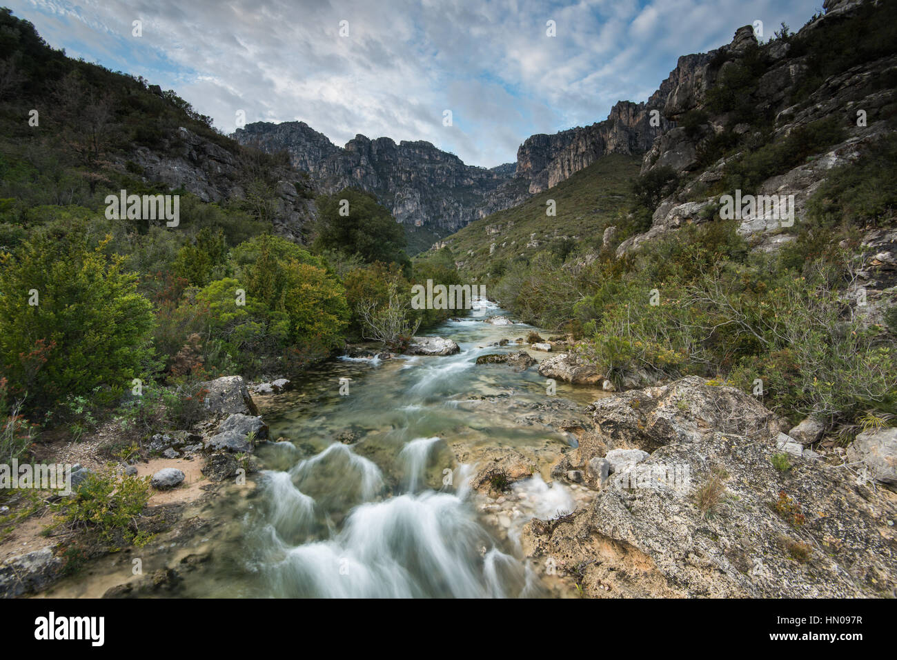 Che scorre veloce creek in Els porte parco naturale, Spagna Foto Stock