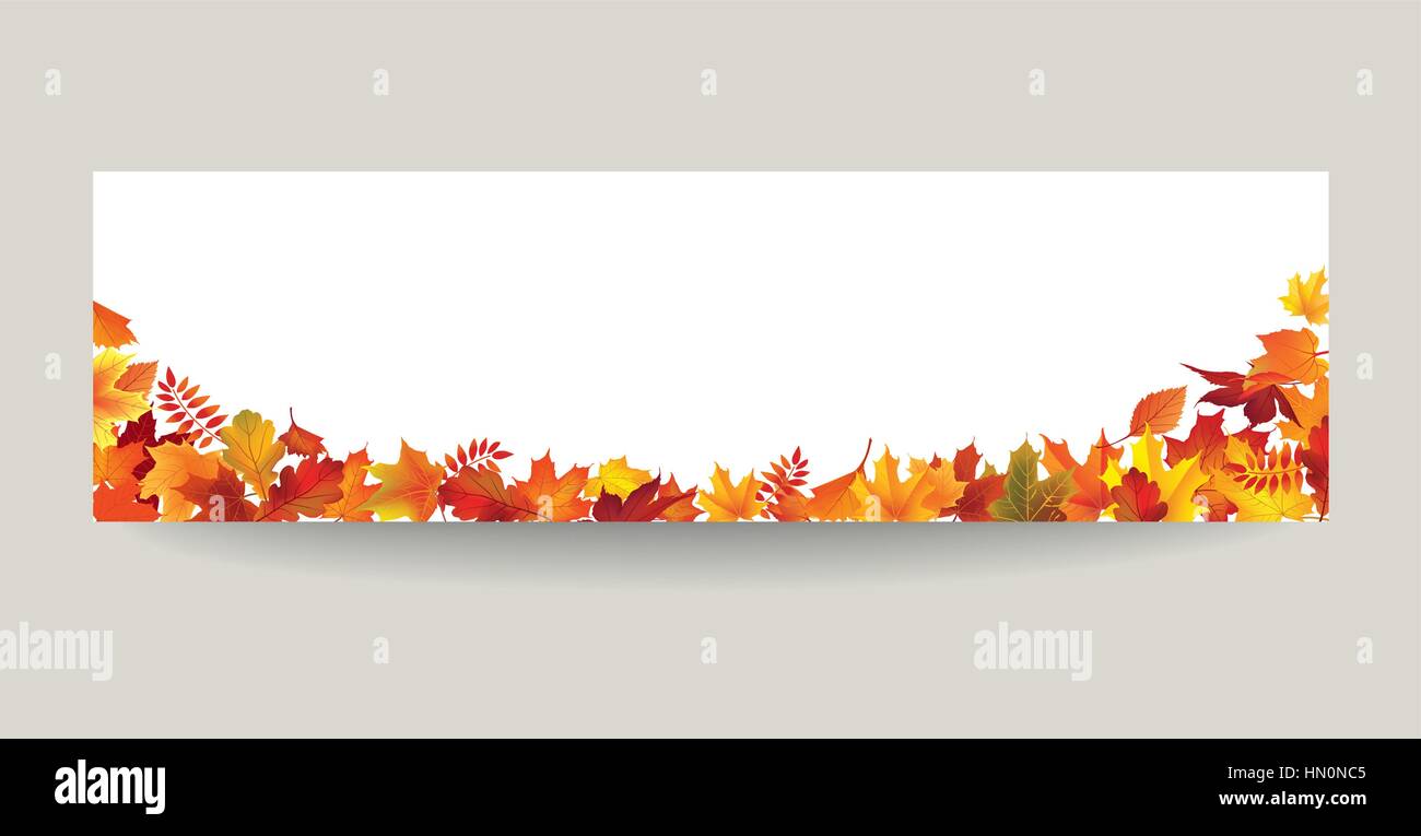 Foglia caduta natura banner. Foglie di autunno sfondo. stagione floreale sfondo orizzontale Illustrazione Vettoriale
