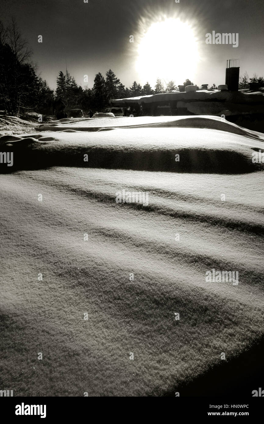 Fotografia in bianco e nero paesaggio artico con Vergine neve e alberi di colata di luce del sole ombre lunghe Foto Stock