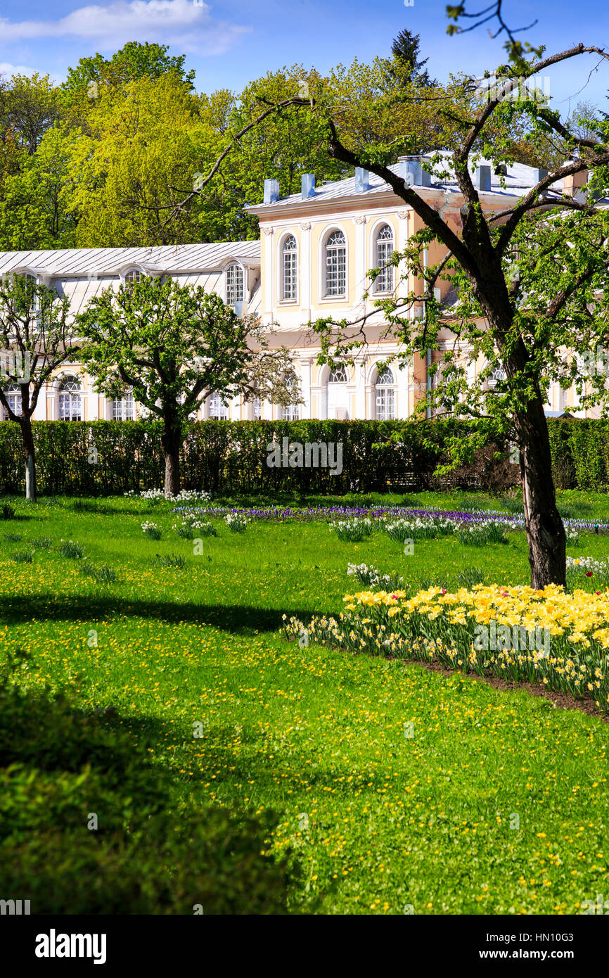 Hot house garden e grande serra, Peterhof, San Pietroburgo, Russia Foto Stock