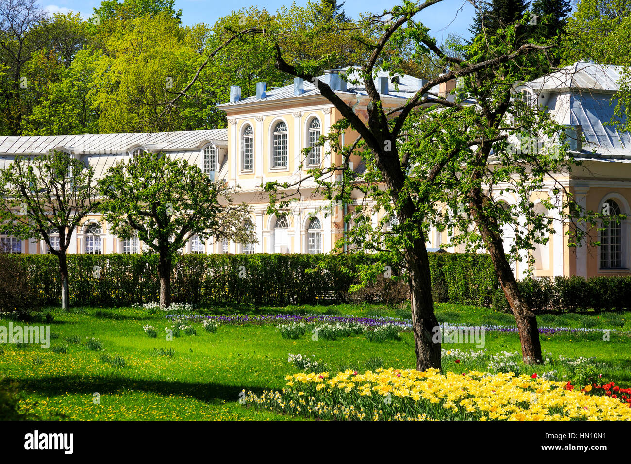 Hot house garden e grande serra, Peterhof, San Pietroburgo, Russia Foto Stock
