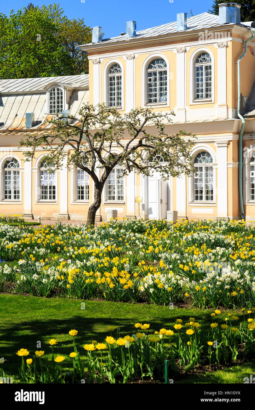Hot house garden e grande serra, Peterhof, San Pietroburgo, Russia Foto Stock