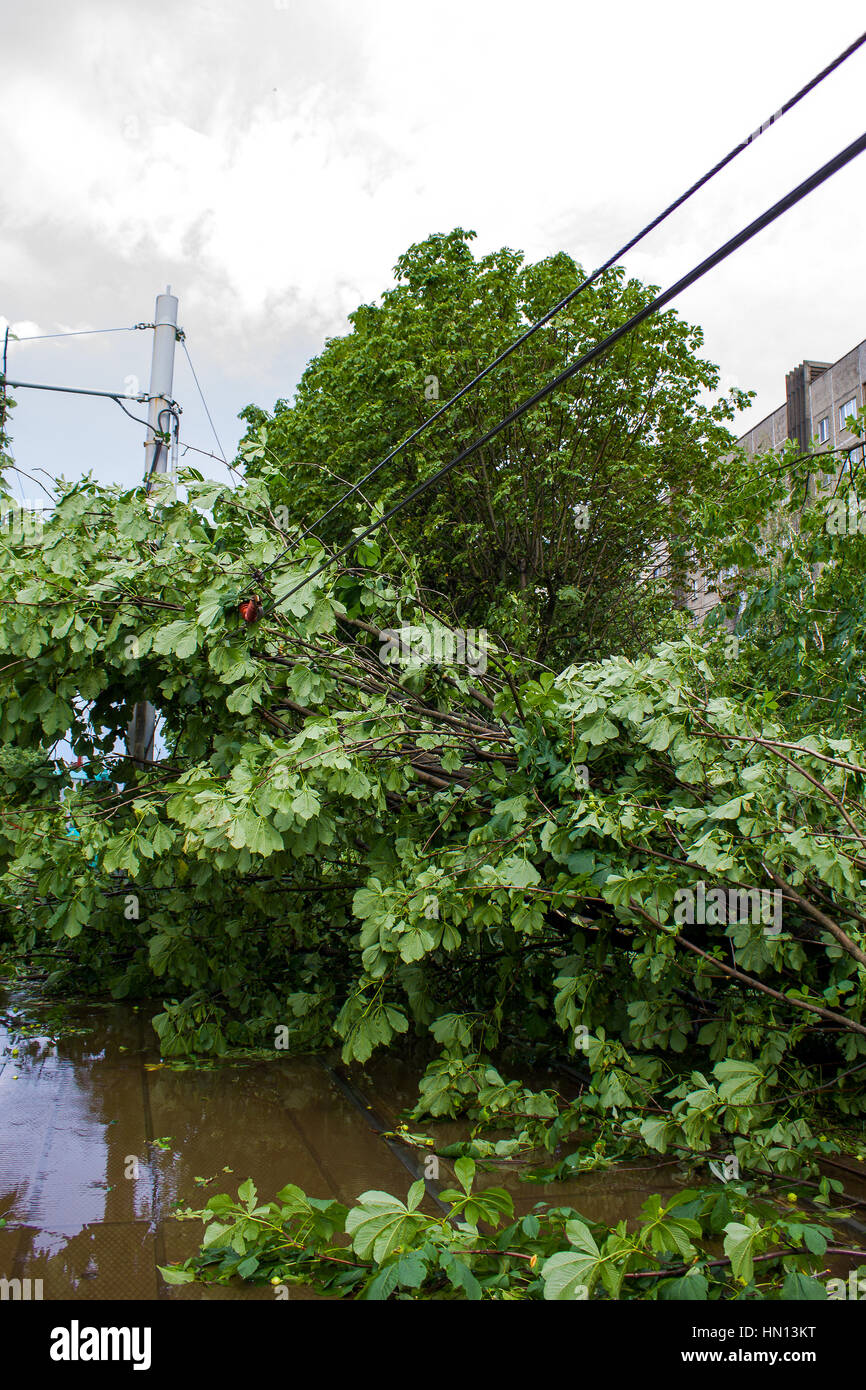 Il Tornado nella città di Minsk, Repubblica di Bielorussia 13.07.2016, le conseguenze del disastro naturale della distruzione delle costruzioni abitate più di 100 Foto Stock