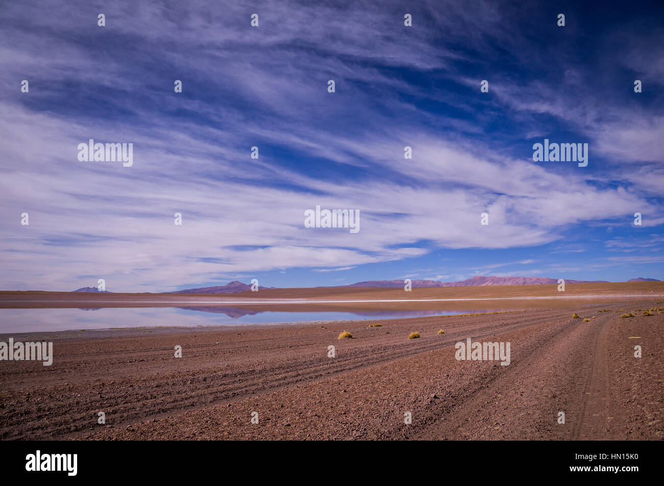Riflessioni nel paesaggio del deserto in altipiano boliviano Foto Stock